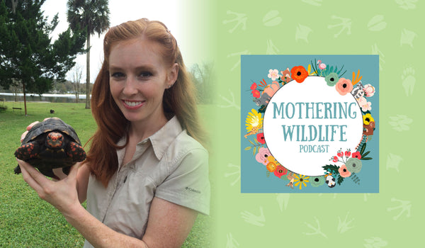 Jenny's Interview with Mothering Wildlife