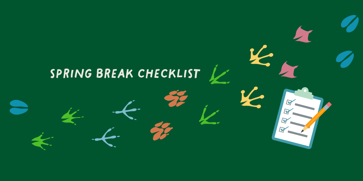 Spring Into Adventure: edZOOcation’s Ultimate Spring Break Checklist f