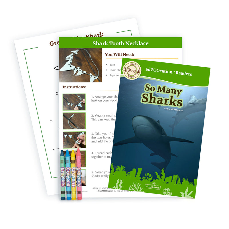 Activities view of Bonnethead Shark edZOOcation Zookeeper Subscription Box