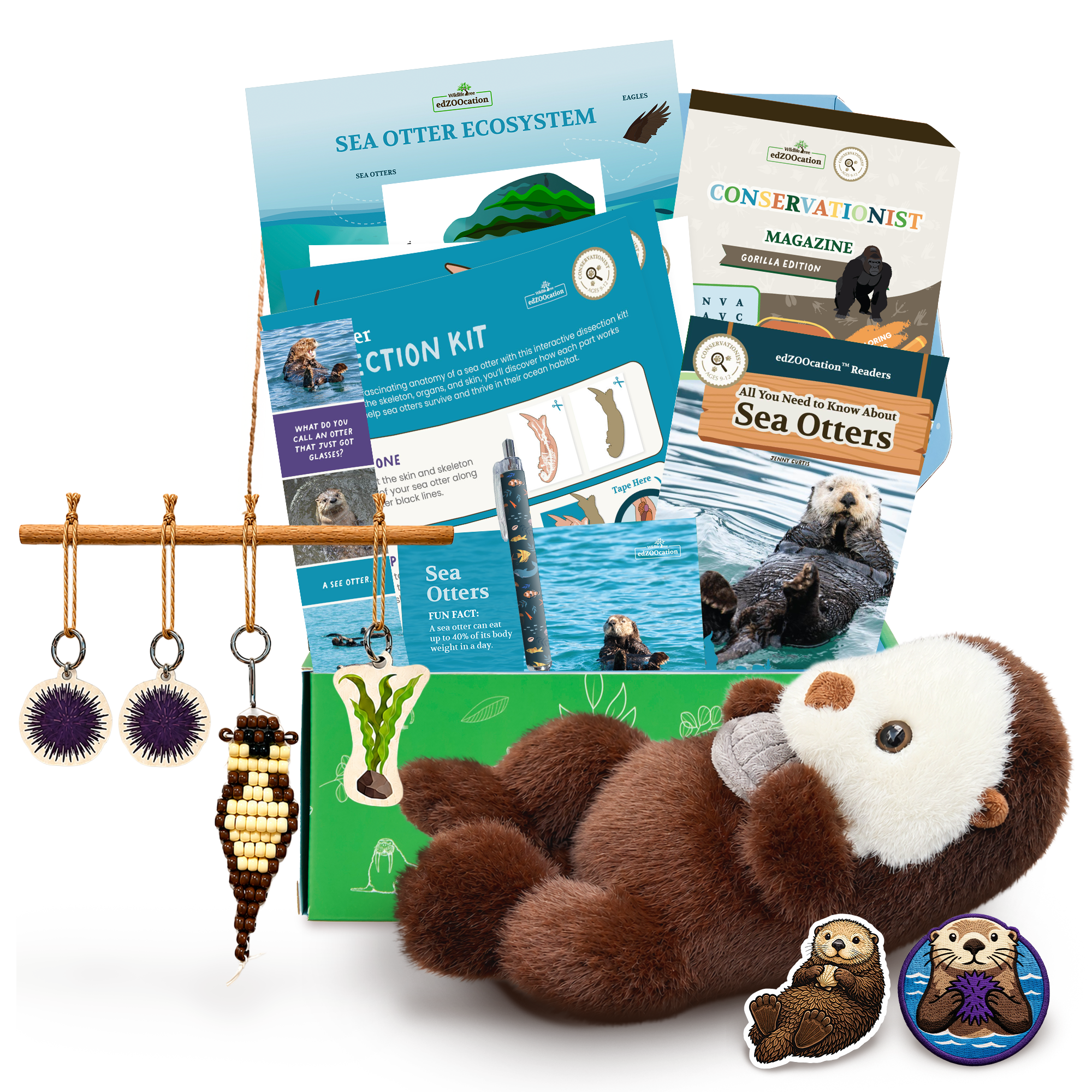 Sea Otter Conservationist Box (Age 9-12) – edZOOcation