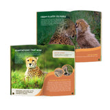 Cheetah Stuffed Animal edZOOcation Conservationist Box (Age 9-12)