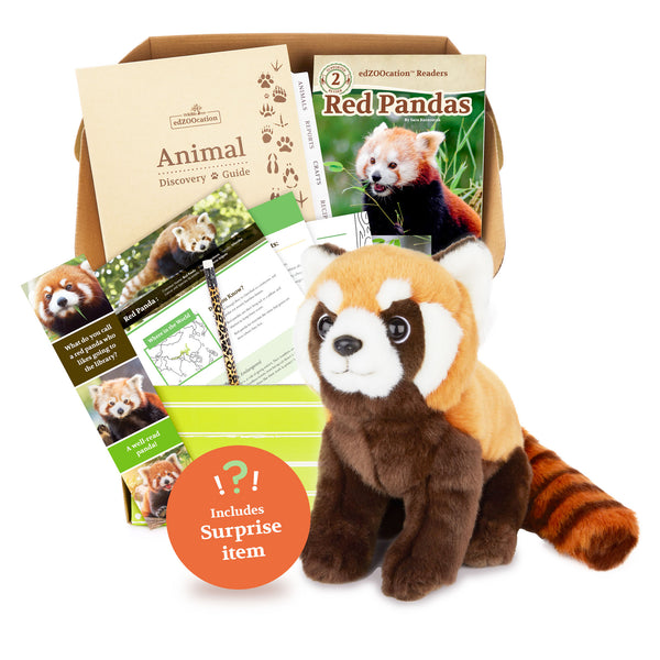 Red Panda Stuffed Animal edZOOcation™ Zoologist Box (Ages 6-8)