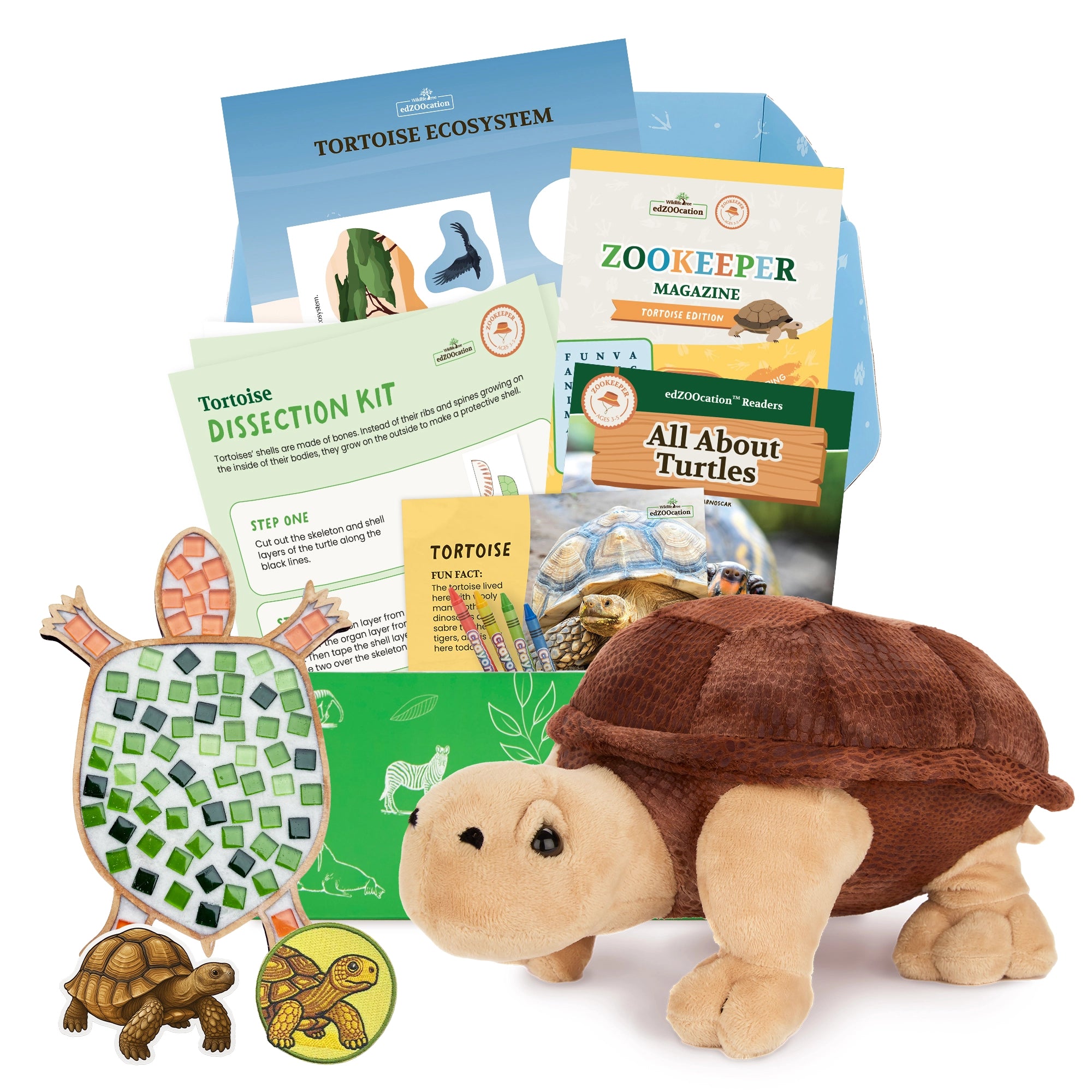 Tortoise Zookeeper Box (Ages 3-5) – edZOOcation