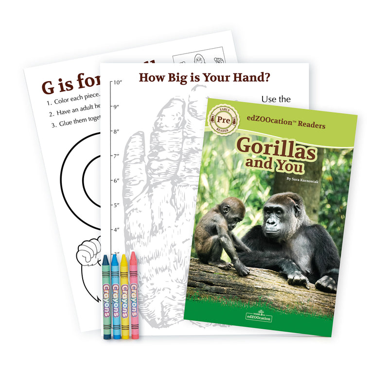 Gorilla Stuffed Animal edZOOcation™ Zookeeper Box (Ages 3-5)