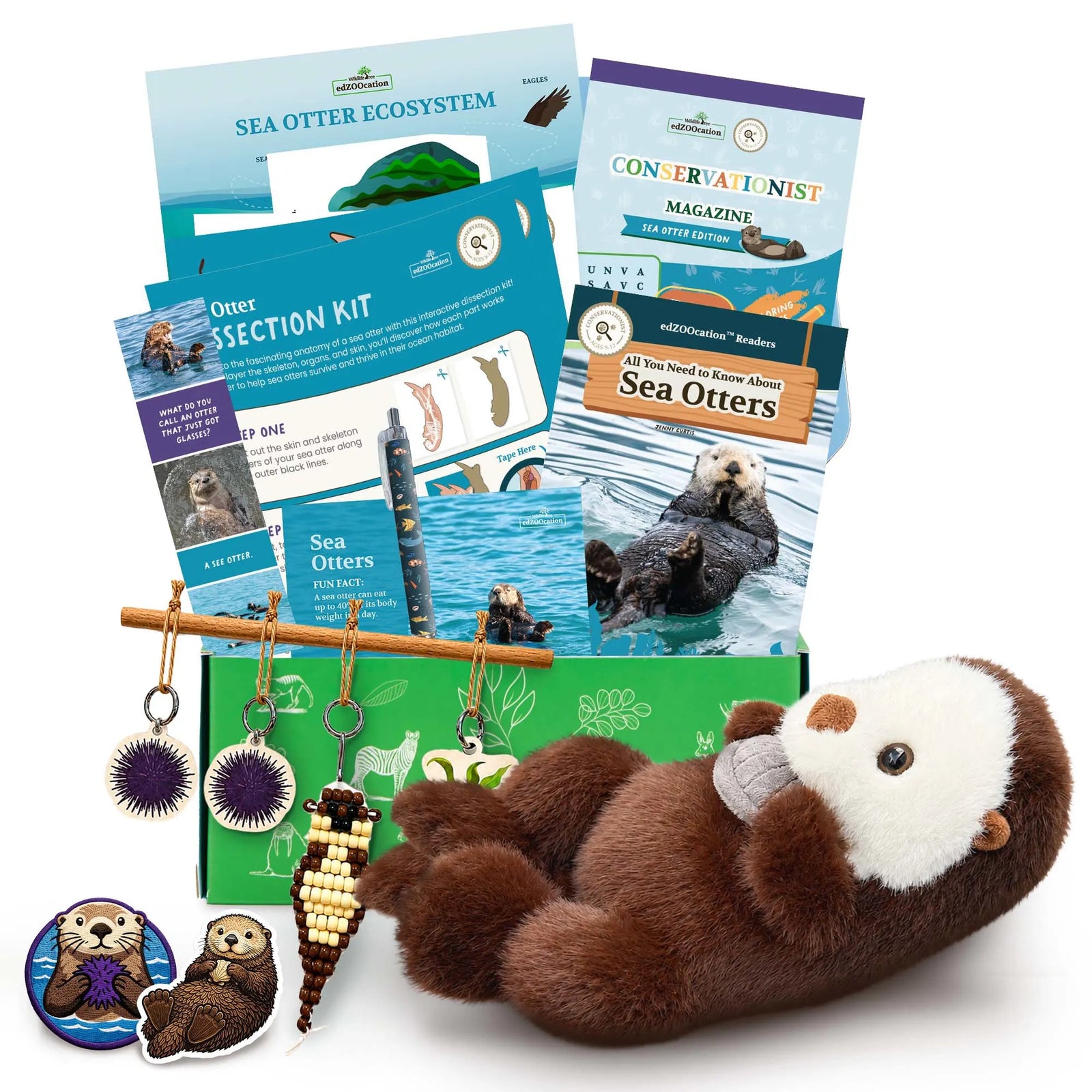 Everything inside the Conservationist (Age 9 - 12) box