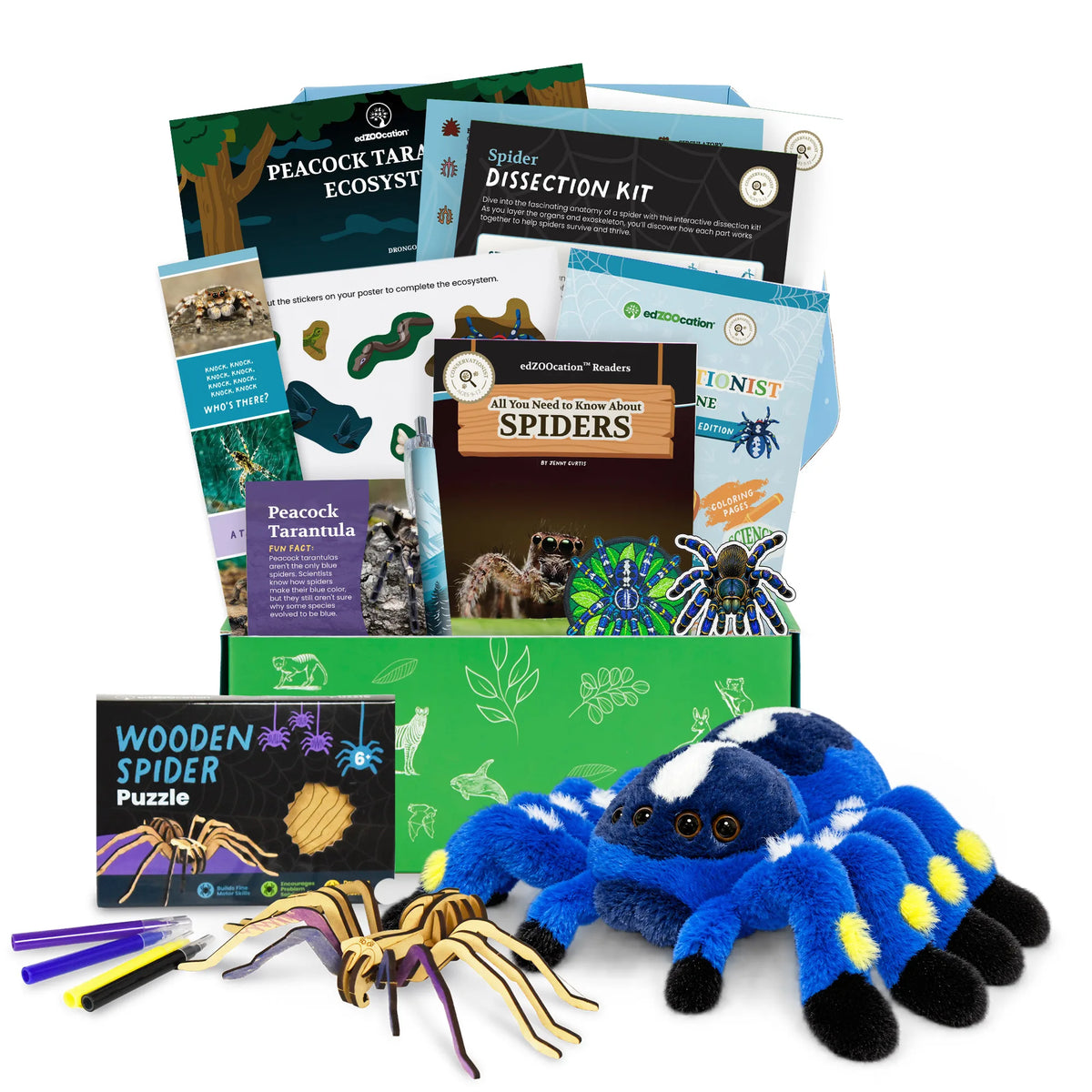 Everything inside the Conservationist (Age 9 - 12) box
