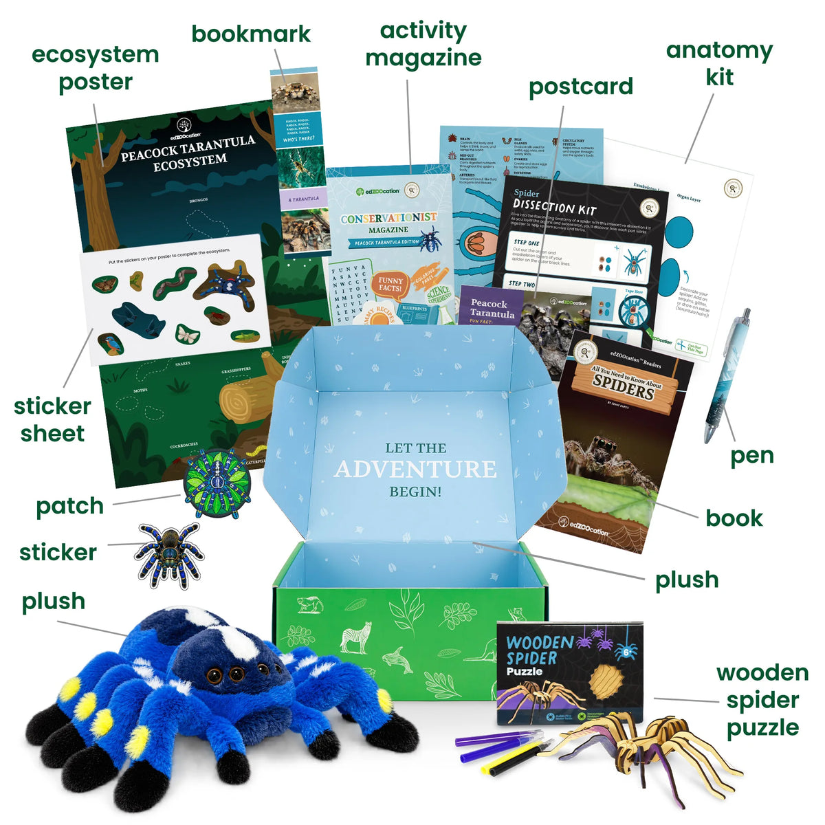 Everything inside the Conservationist (Age 9 - 12) box