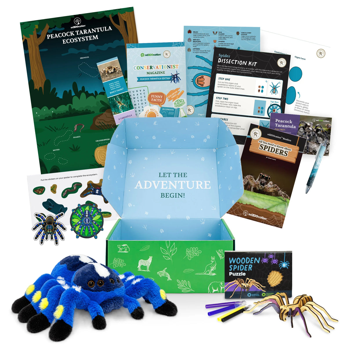 Everything inside the Conservationist (Age 9 - 12) box