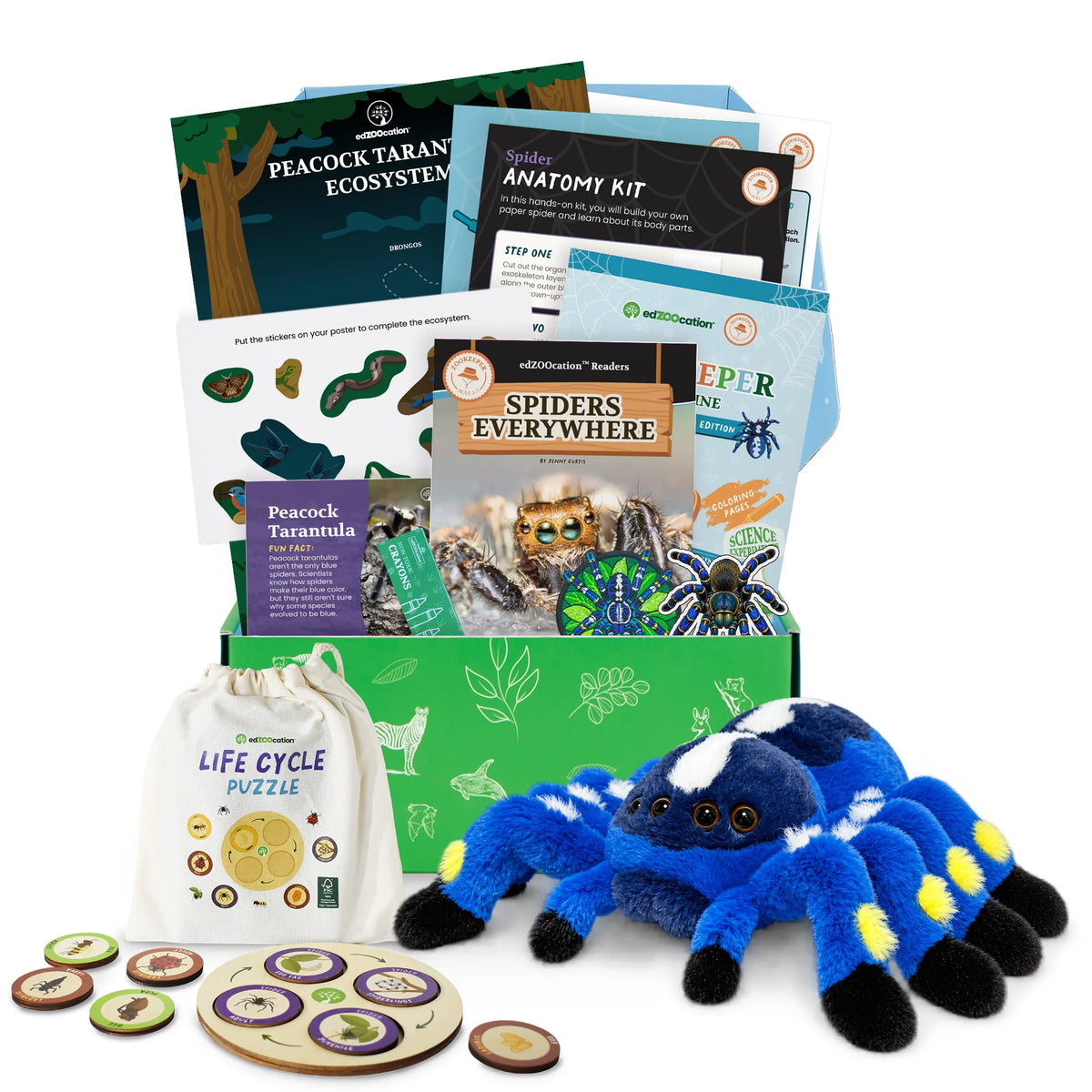Everything inside the Zookeeper (Age 3 - 5) box