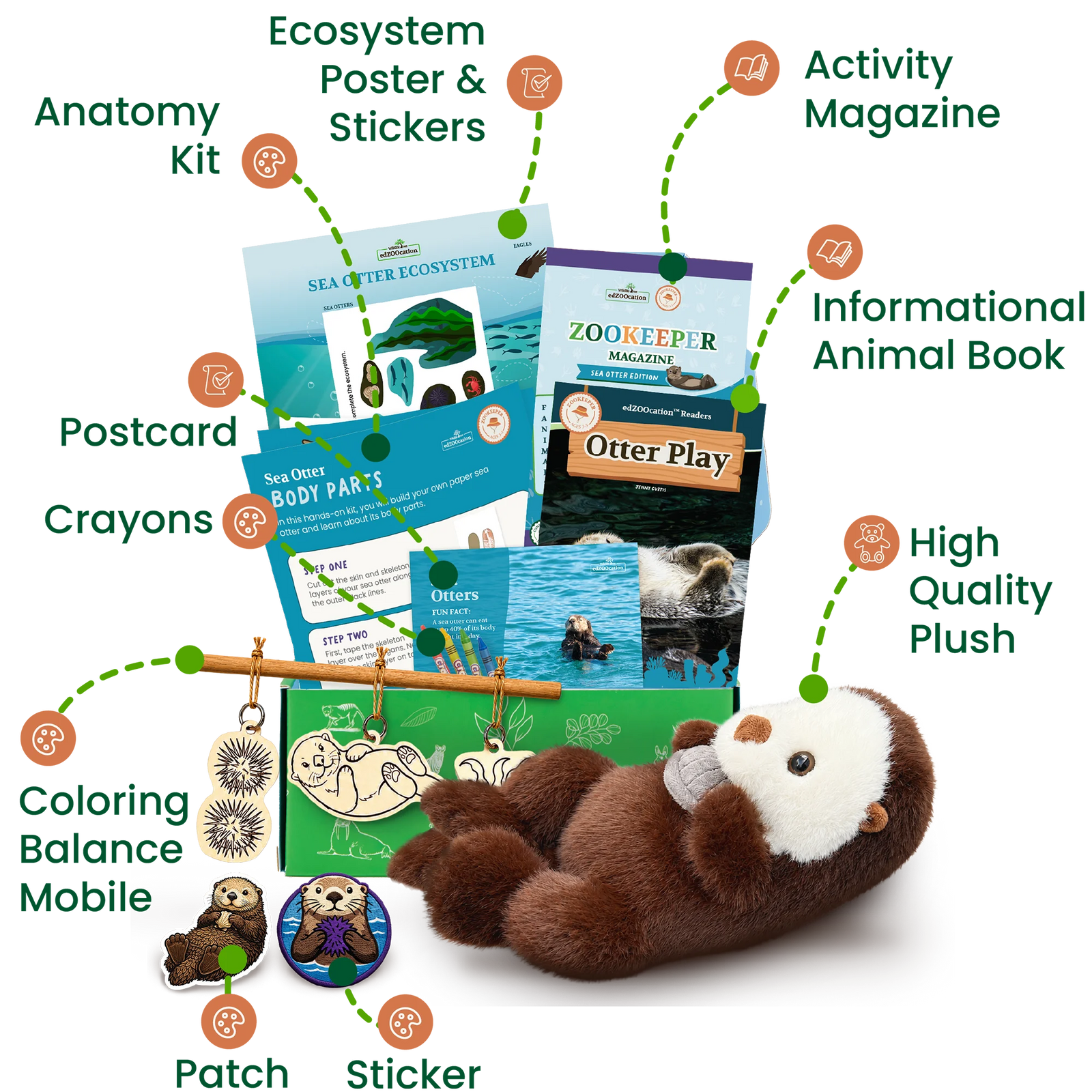 Everything inside the Zookeeper (Age 3 - 5) box
