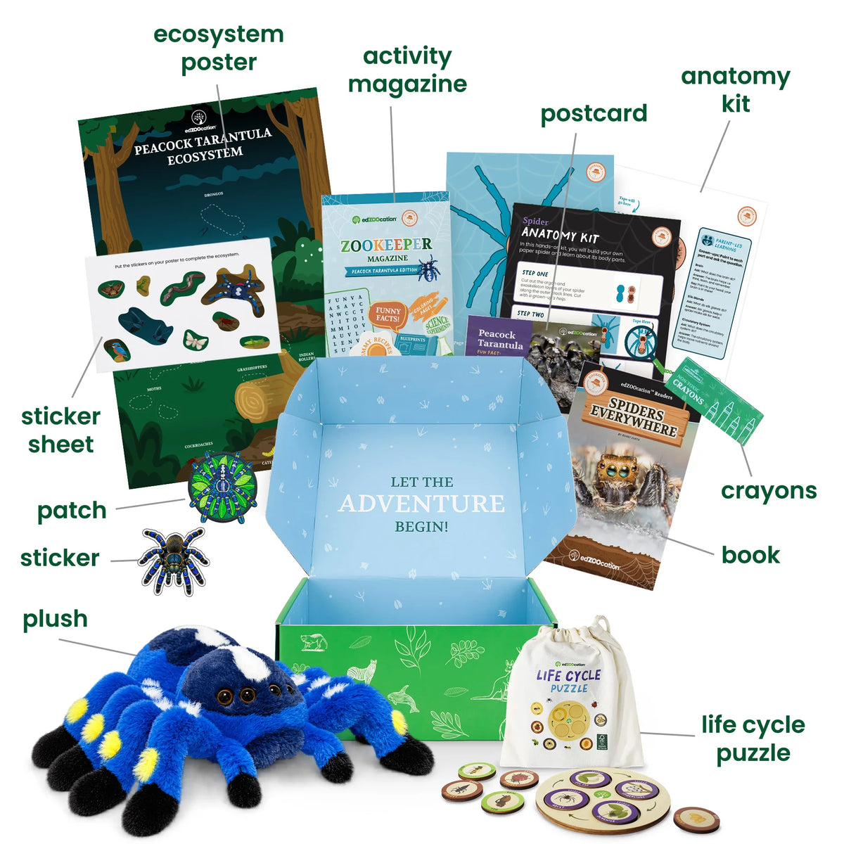 Everything inside the Zookeeper (Age 3 - 5) box