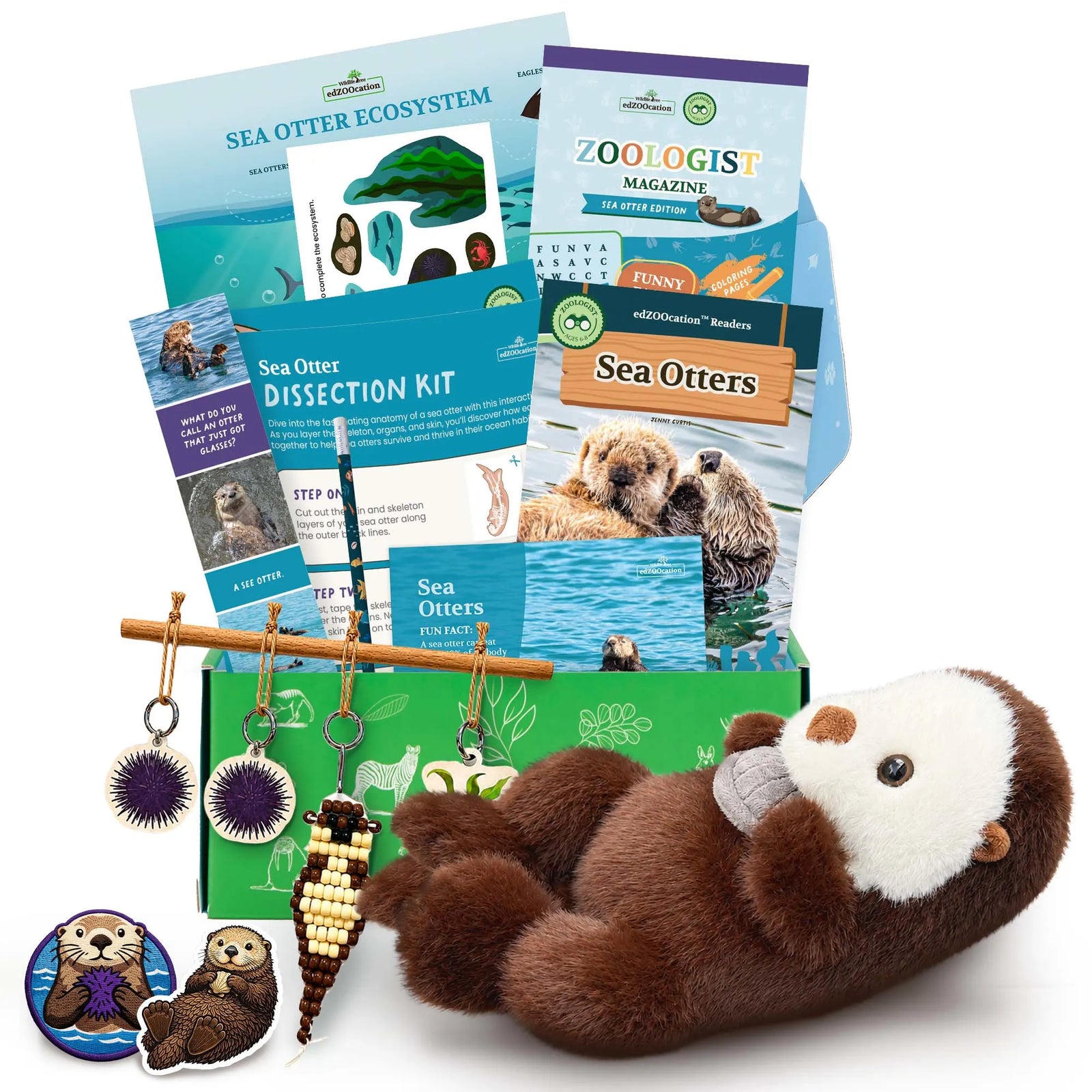 Everything inside the Zoologist (Age 6 - 8) box