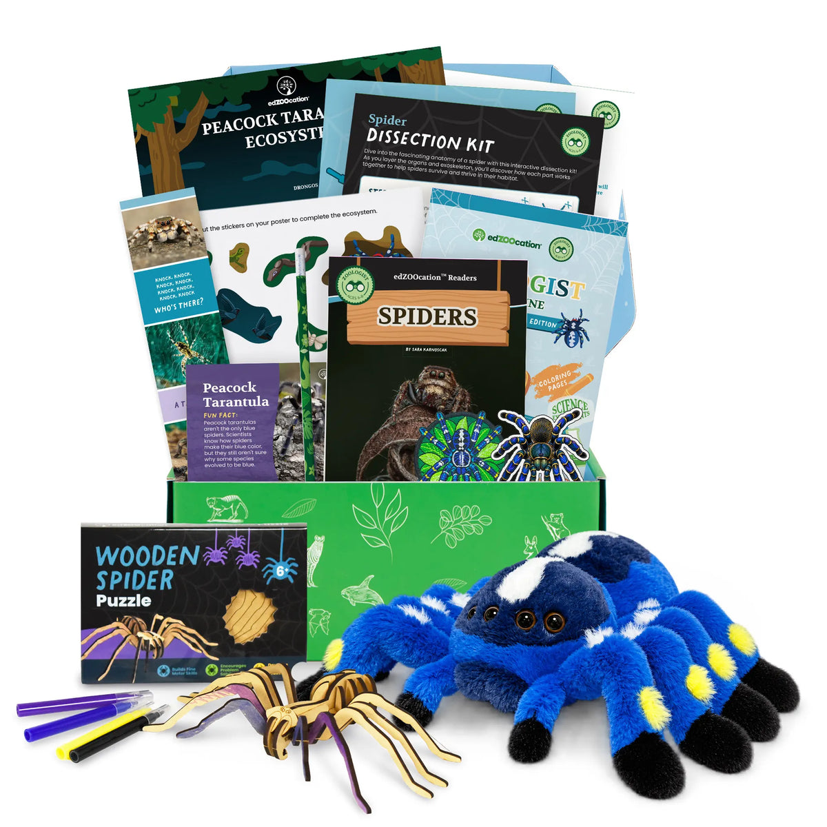 Everything inside the Zoologist (Age 6 - 8) box