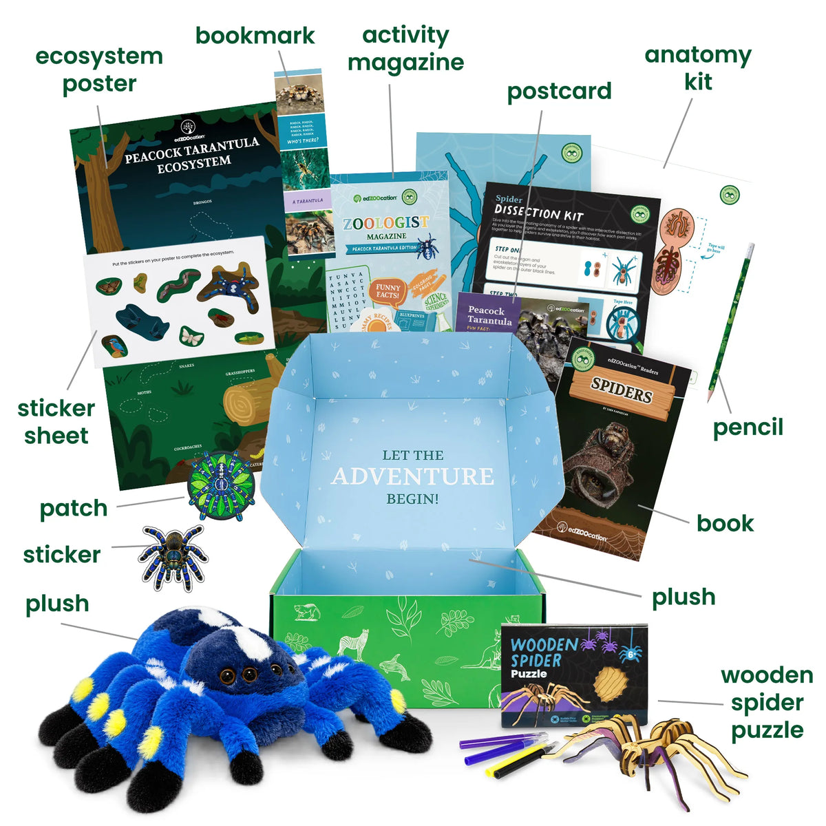 Everything inside the Zoologist (Age 6 - 8) box