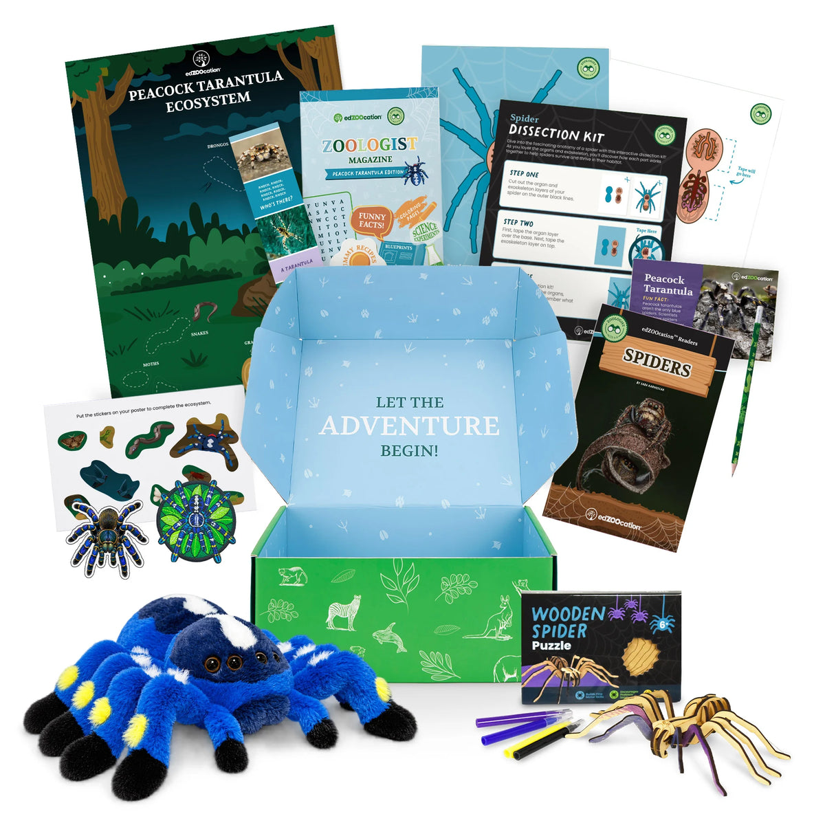Everything inside the Zoologist (Age 6 - 8) box