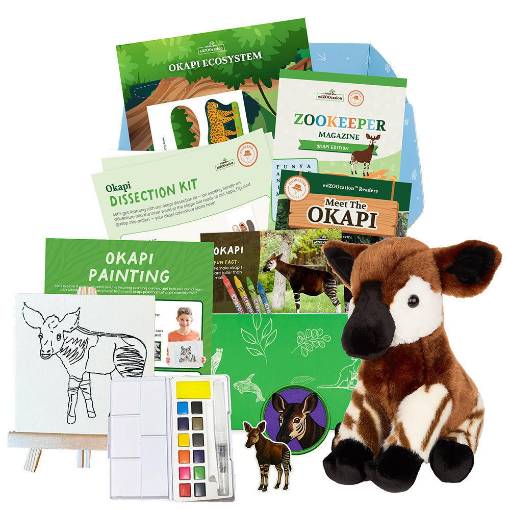 Okapi Zookeeper Box (Ages 3-5) – edZOOcation