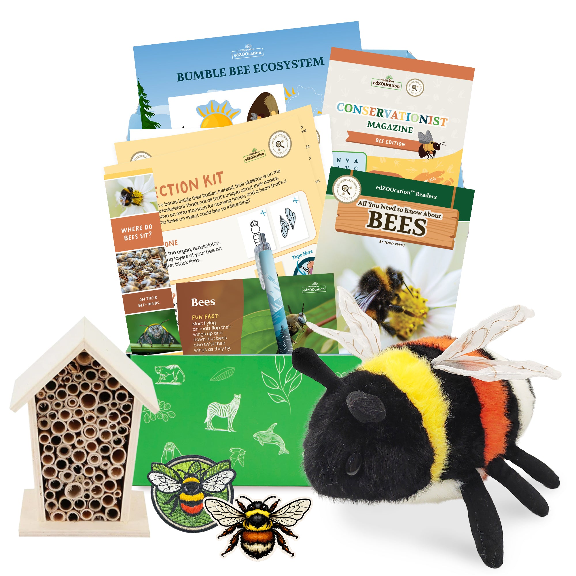 Bee Conservationist Box (Age 9-12) – edZOOcation