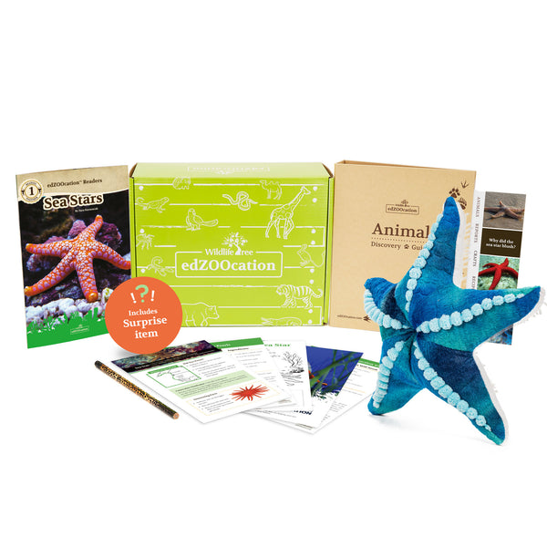 Sea Star Stuffed Animal edZOOcation™ Zoologist Box (Ages 6-8)