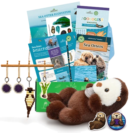 Sea Otter