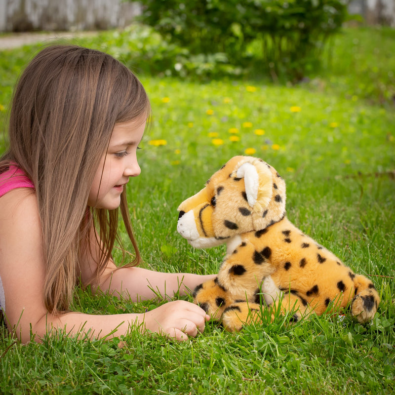 Cheetah Stuffed Animal edZOOcation™ Zoologist Box (Ages 6-8)