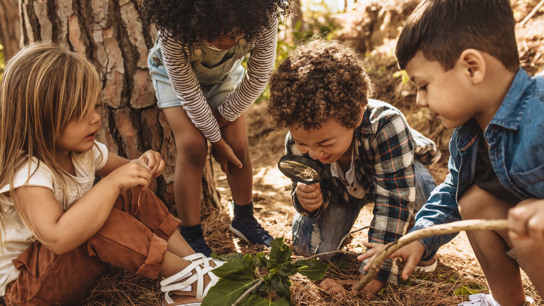Take a Nature Walk in Your Own Backyard