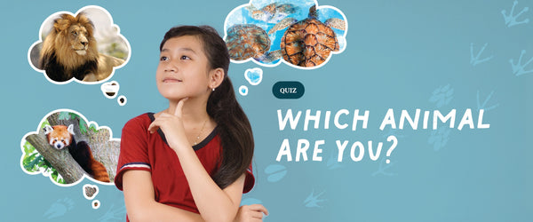 Which Animal Are You - Take The Quiz!