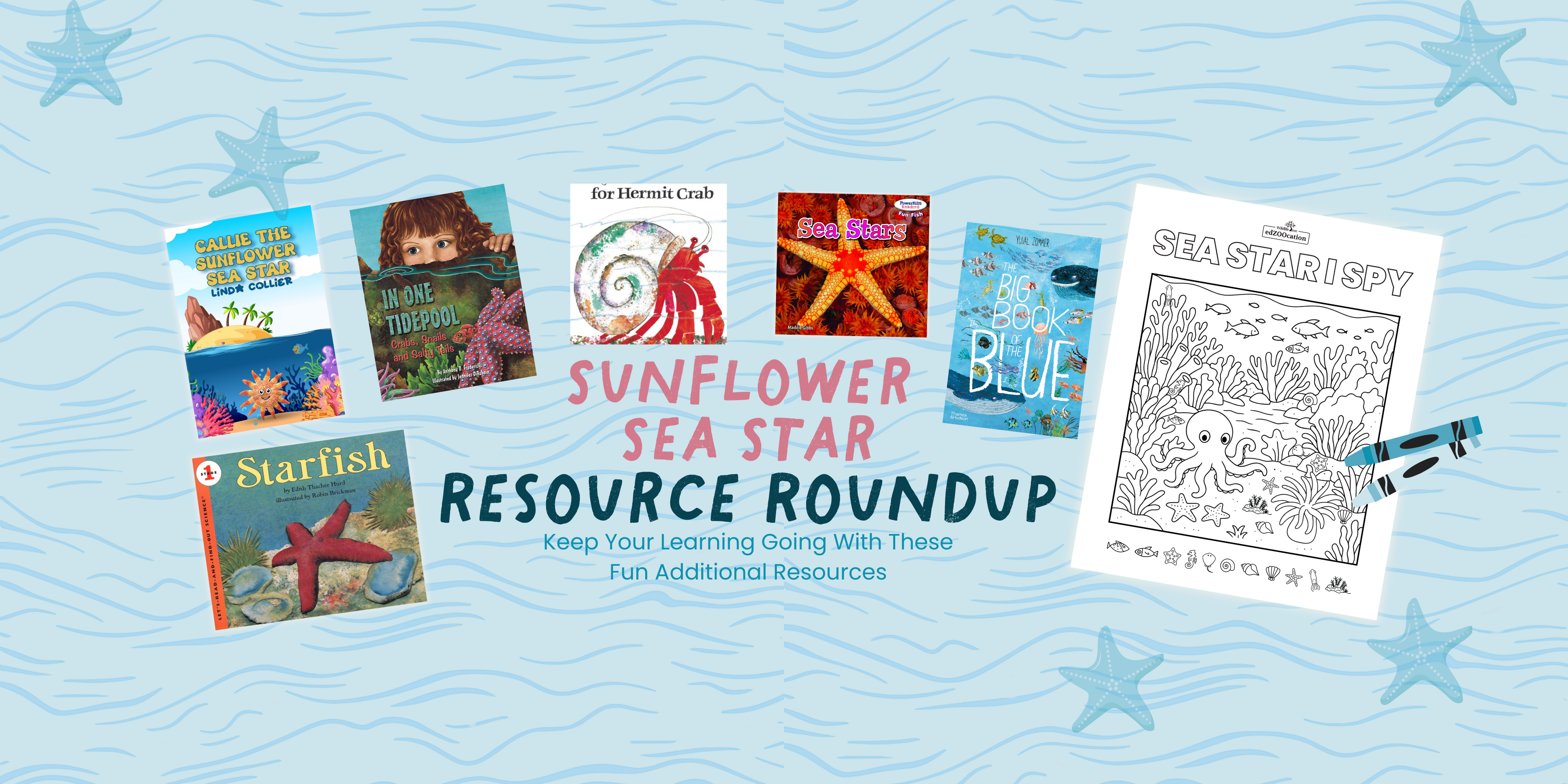 Resource Roundup: Sunflower Sea Star Edition 🪸