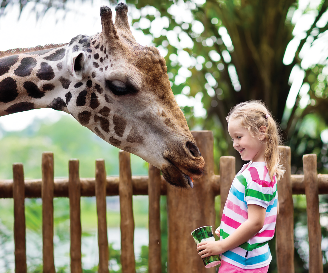 Animal Conservation Career Resources for Kids