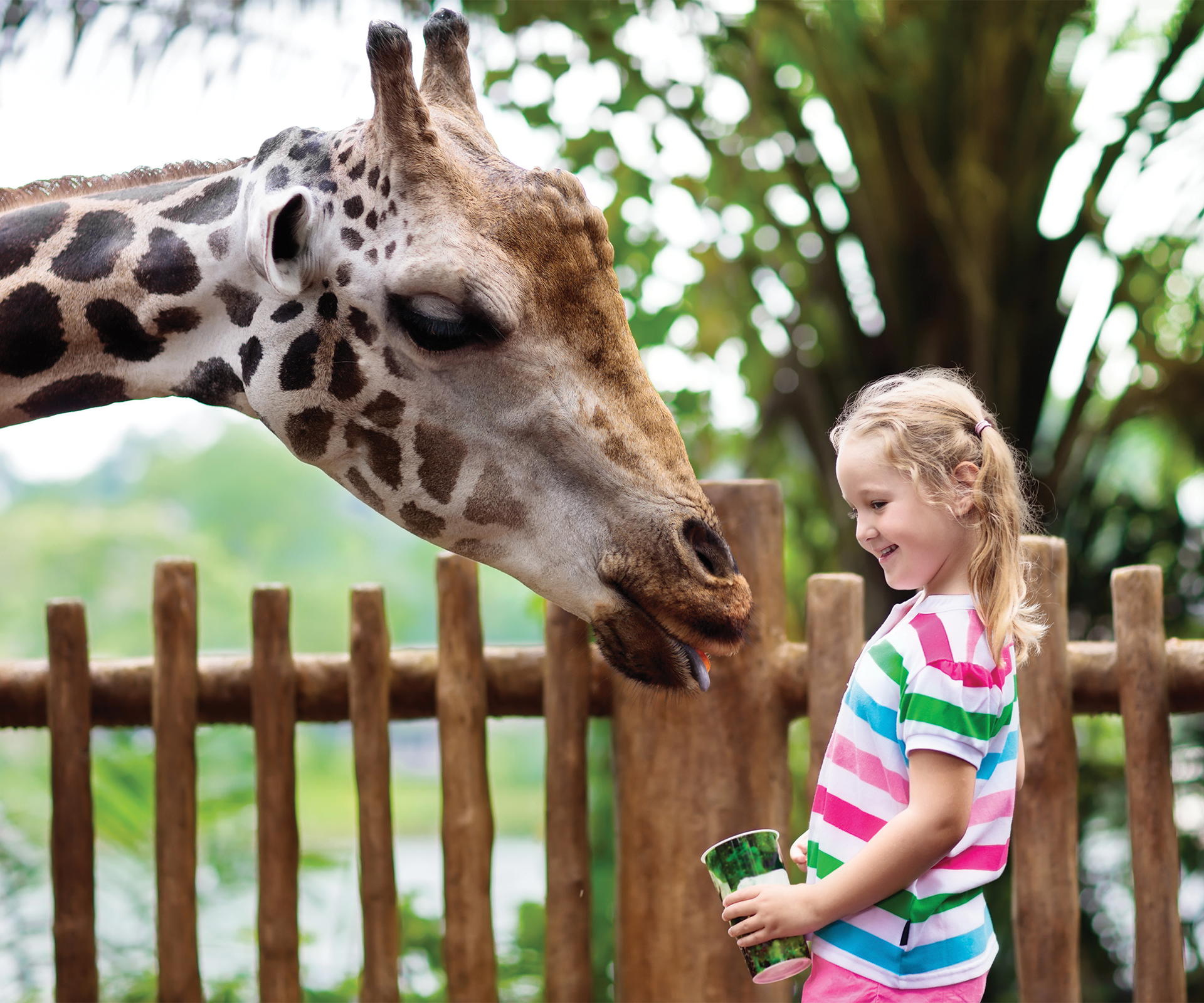 Animal Conservation Career Resources for Kids