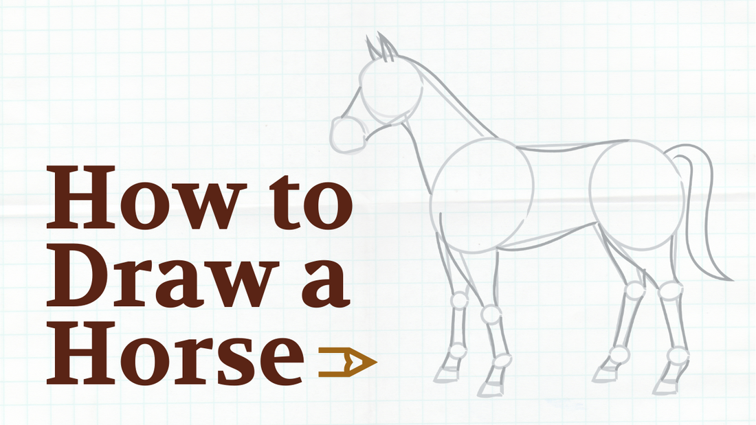 How to draw a horse