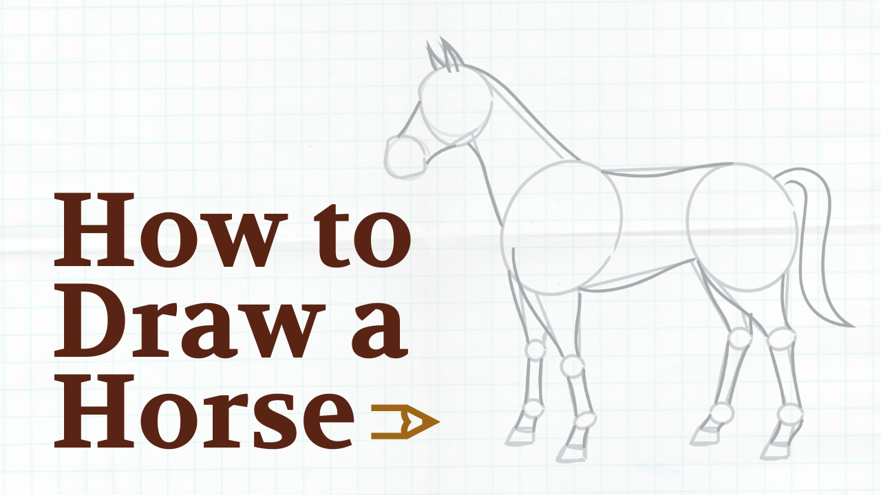 How to draw a horse