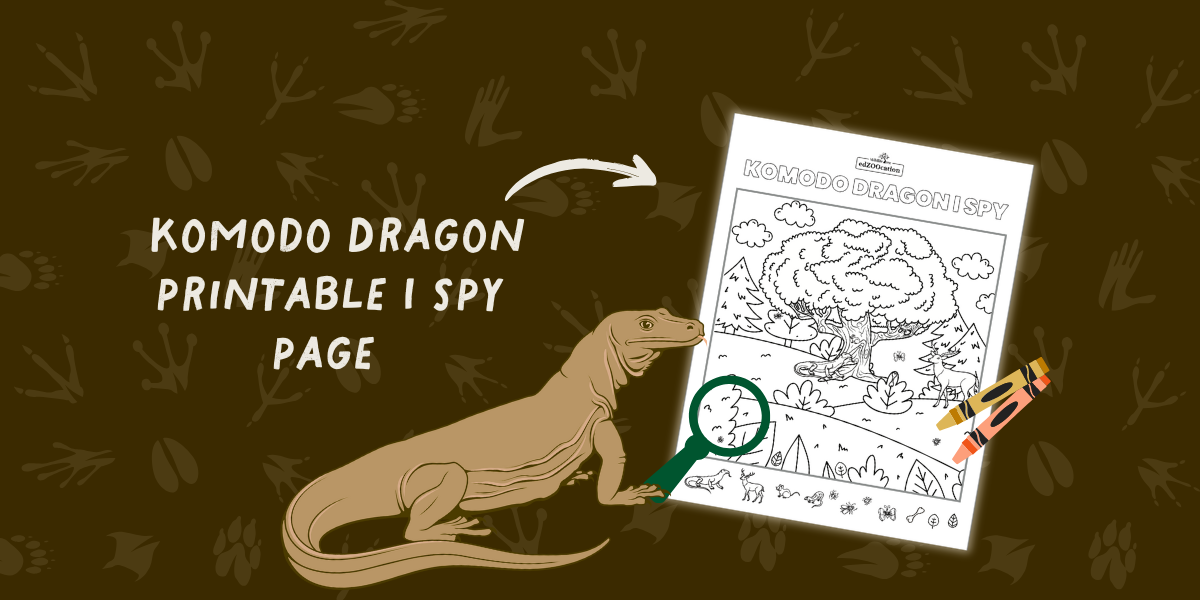 Printable Komodo Dragon I Spy