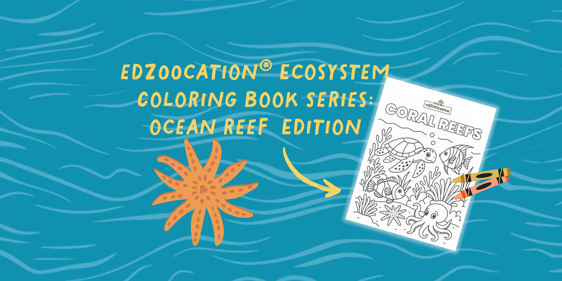 Make a Splash with the edZOOcation® Ecosystem Coloring Book Series: Coral Reef Edition!🪸