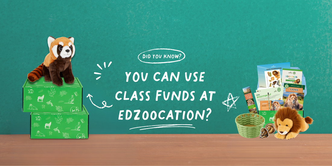 edZOOcation Now on ClassWallet – Making Learning Wildly Accessible! 🦁📚