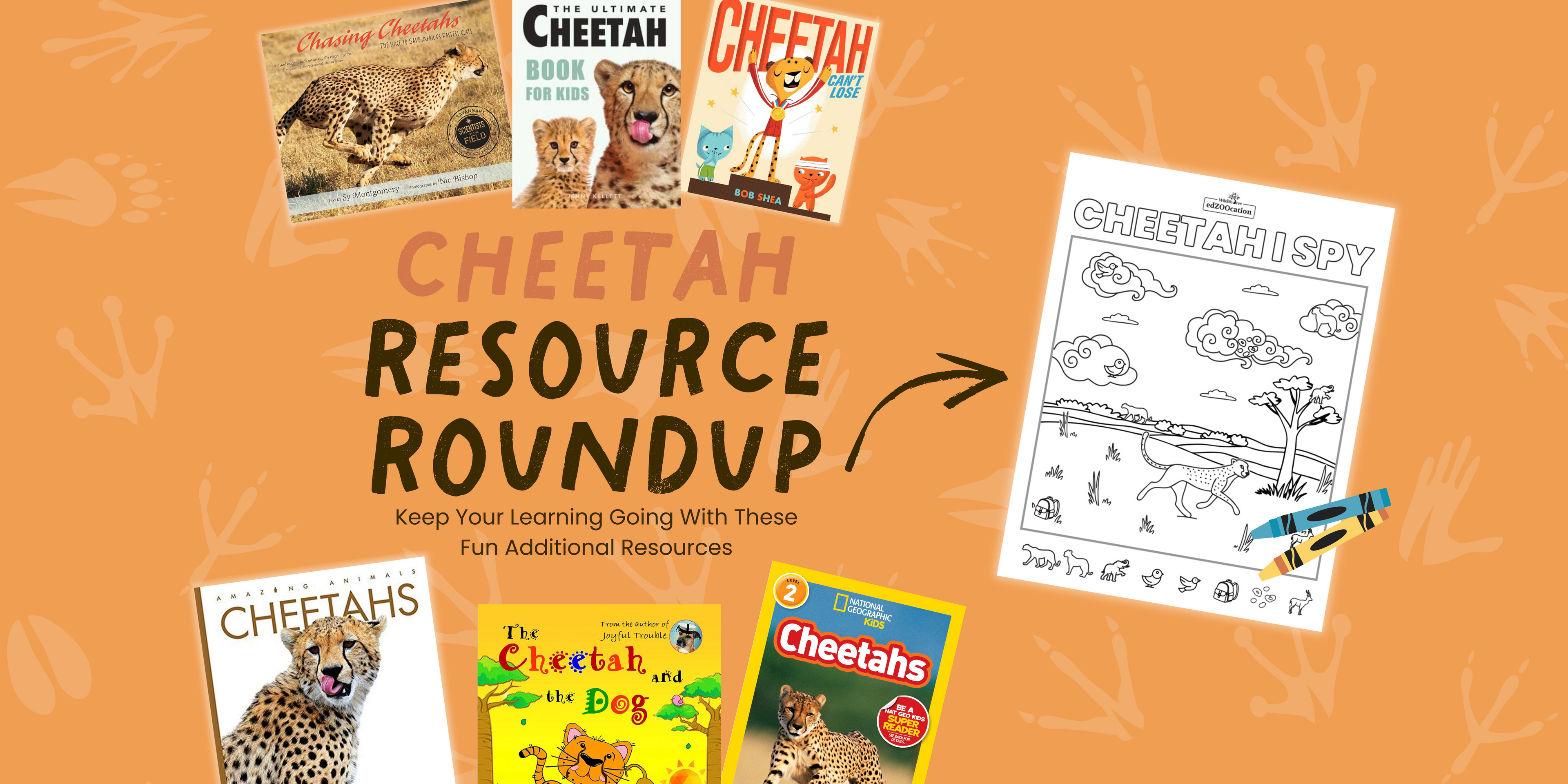 🐆 Resource Roundup: Cheetah Edition 🐆