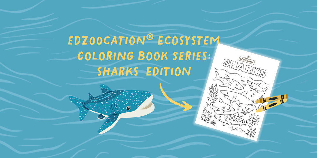 Make a Splash with the edZOOcation® Ecosystem Coloring Book Series: Sharks Edition! 🐋🦈