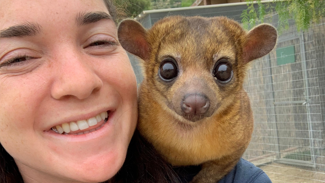 zookeeper with capuchin 