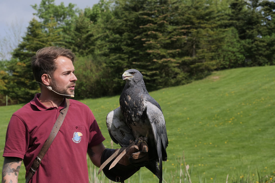 wildlife speaker with eagle