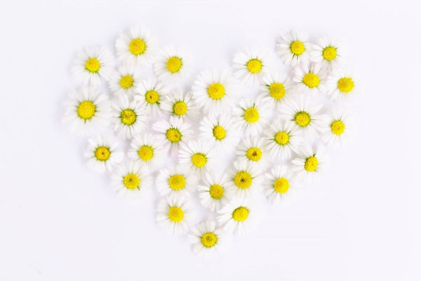 heart made of while daisys 
