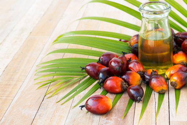 Go Palm Oil Free This Halloween