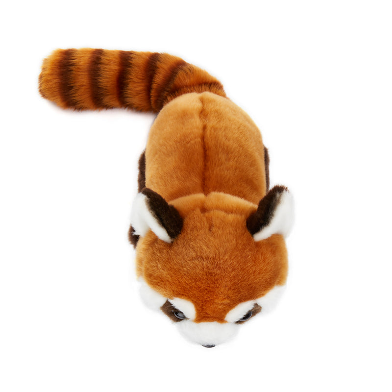 Top View of 12 Inch Stuffed Red Panda Plush Stuffed Animal