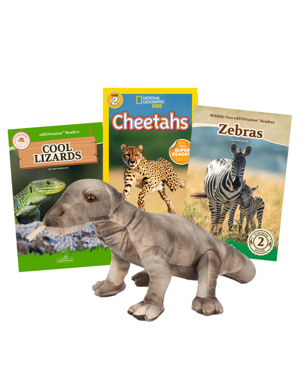 Scales and Stories Bundle – Plush and Books