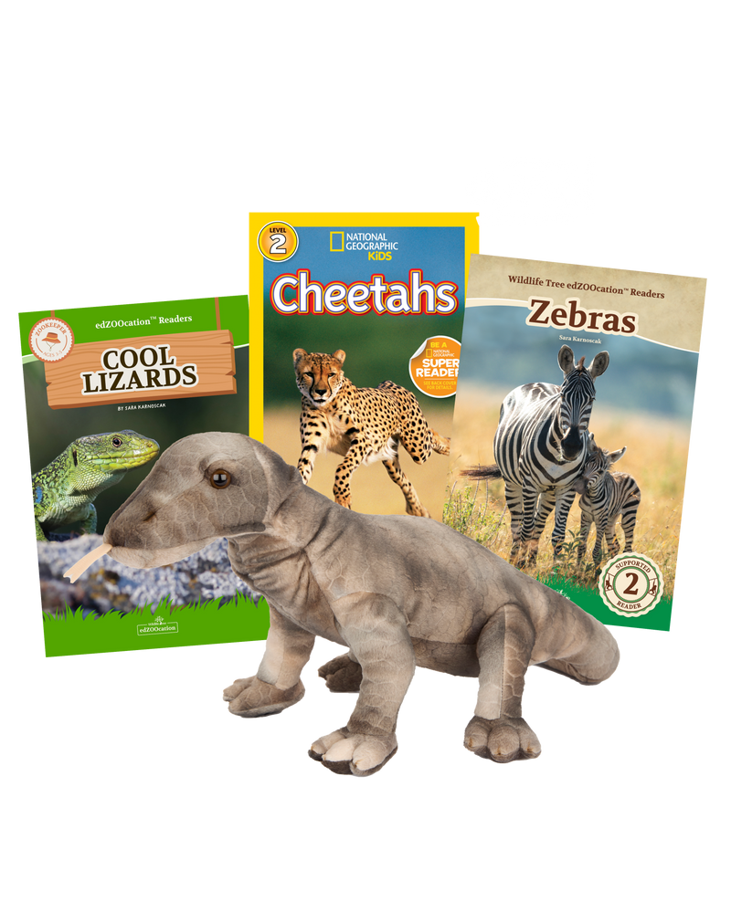 Scales and Stories Bundle – Plush and Books