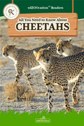 A cover image of a book titled 'All You Need to Know About Cheetahs edZOOcation Conservationist Book - Paperback', featuring three cheetahs in a natural setting.
