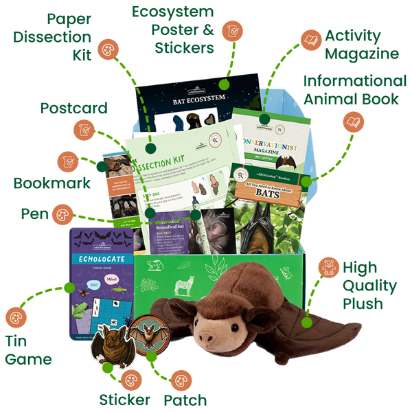 edZOOcation™ Conservationist Box (Age 9-12) - 3 Months