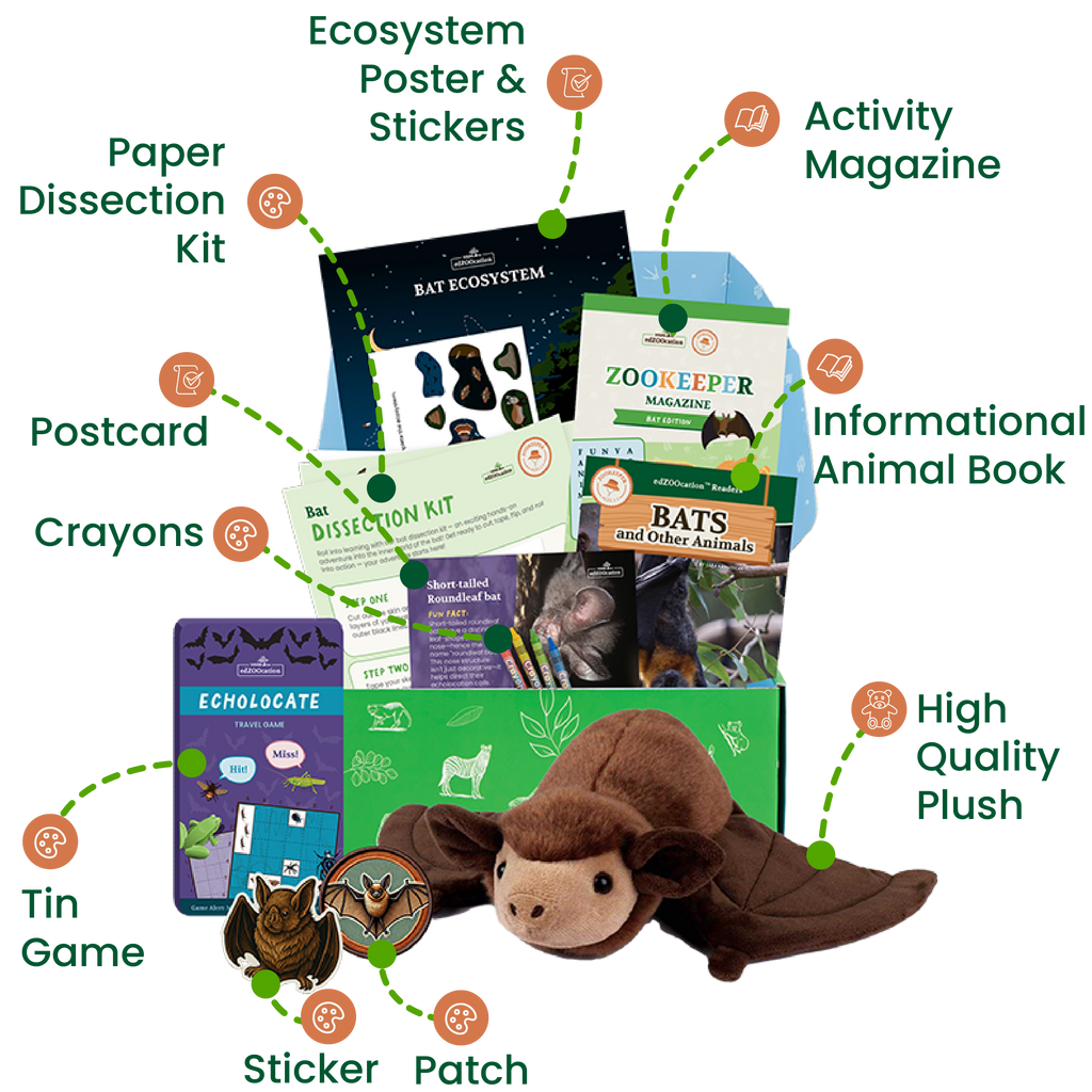 Educational kit with bat-themed items including a plush toy, book, and activities on a white background.