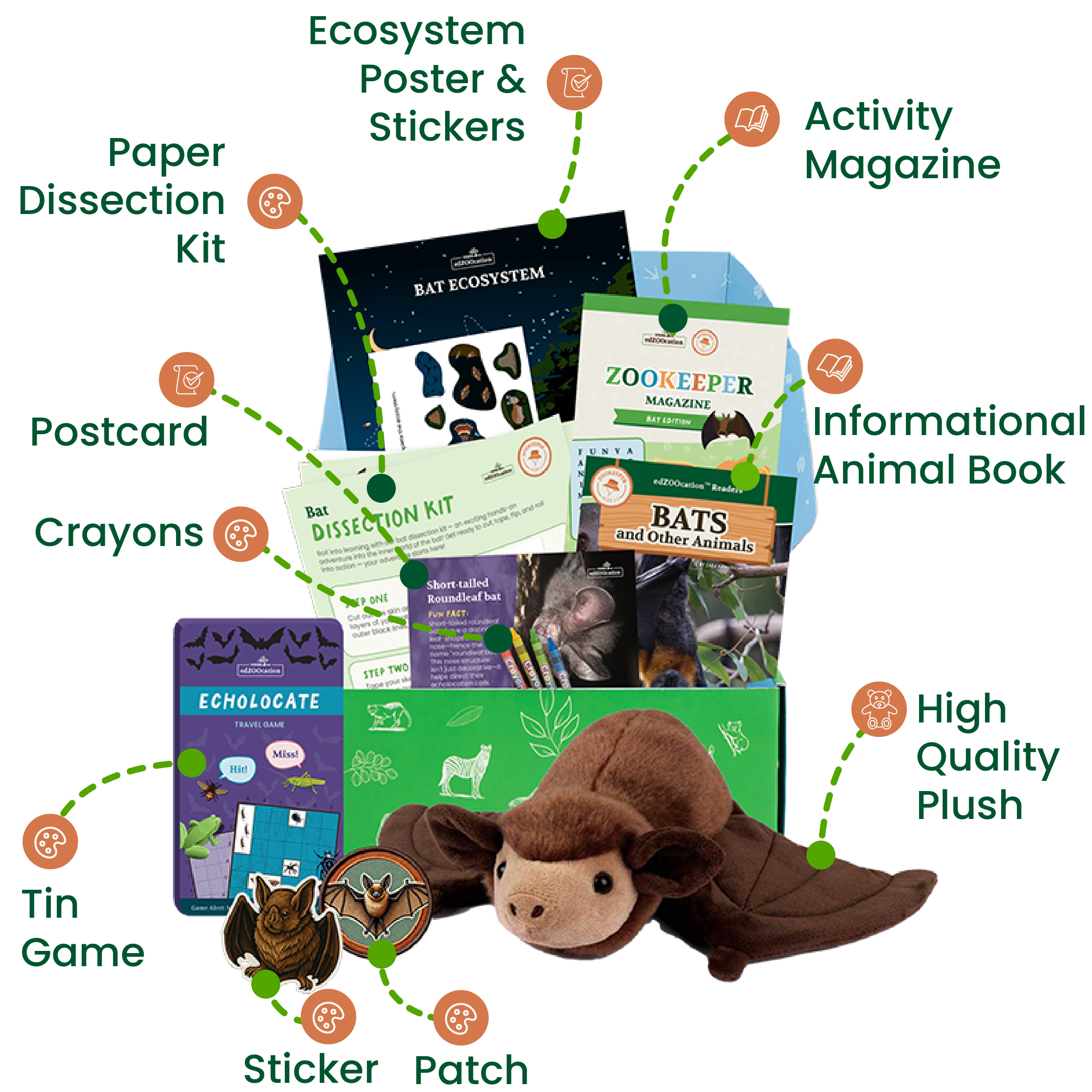 Educational kit with bat-themed items including a plush toy, book, and activities on a white background.