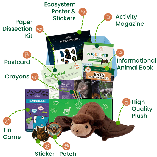 edZOOcation™ Zookeeper Box (Age 3-5) - 3 Months