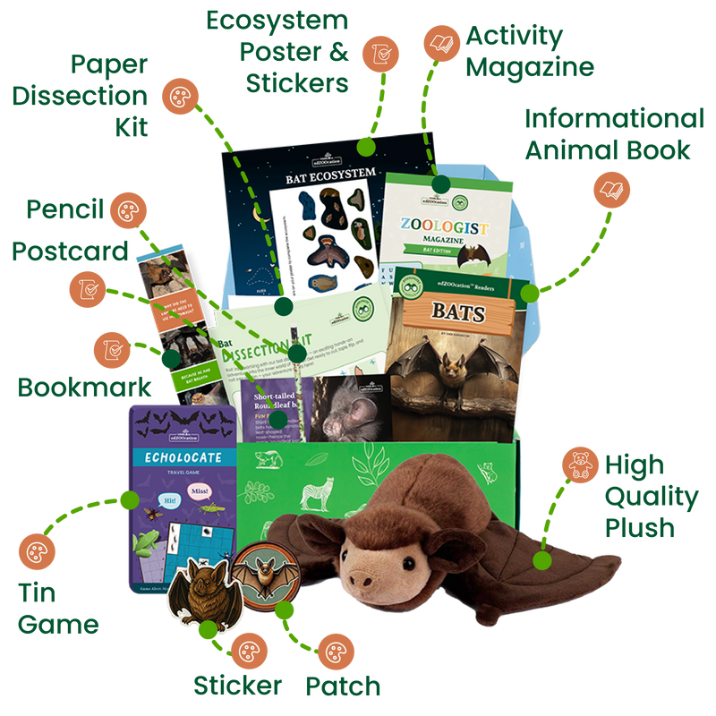 edZOOcation™ Zoologist Box (Age 6-8) - 3 Months