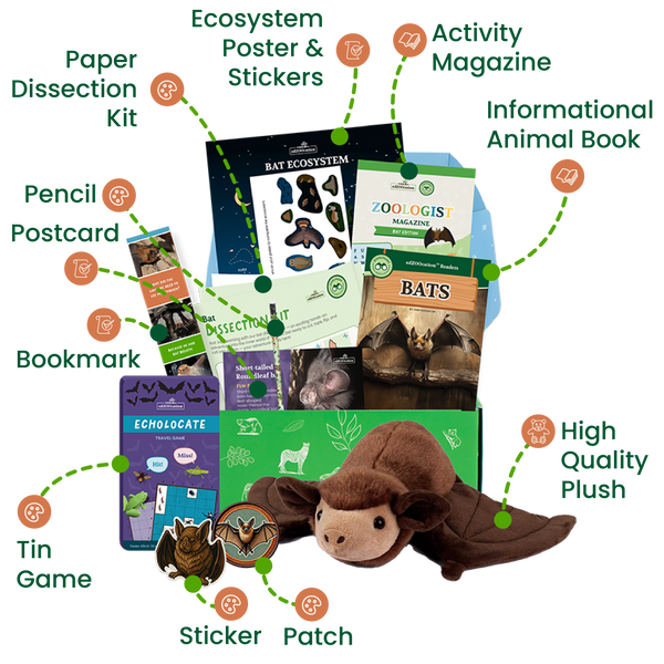 edZOOcation™ Zoologist Box (Age 6-8) - 12 Months